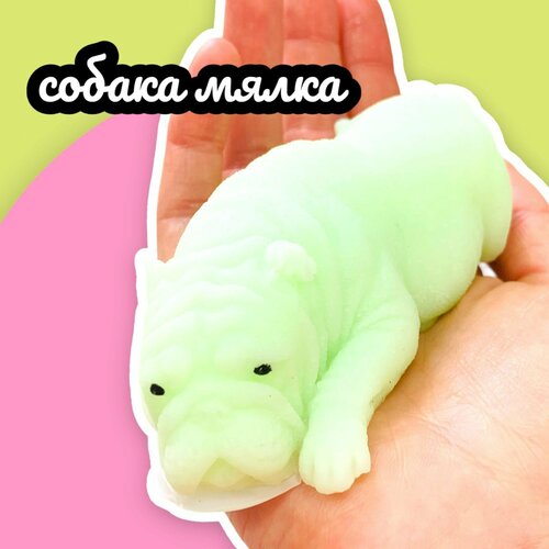 Мялка антистресс сквиши Собака Соня игрушка для мальчика и девочки большой 11 см Светло-зеленый 199₽