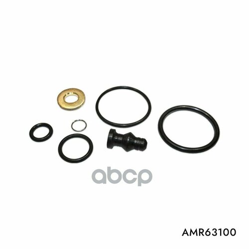 Ремкомплект Насос-Форсунка Amr Amr63100 AMR арт AMR63100 1160₽