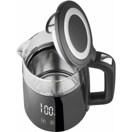 Чайник электрический Hyundai HYK-G6404 2200Вт черный и серебристый 596000₽