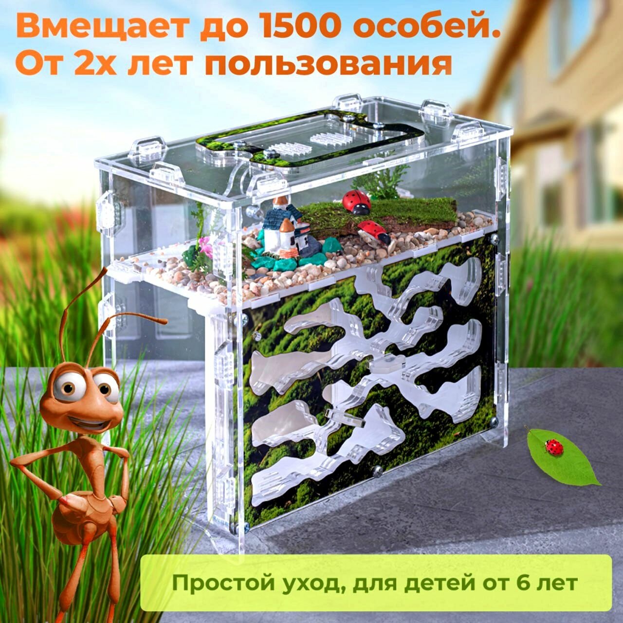 Муравьиная ферма "Горный мох" ВСЕ включено декор+корм в подарок — фото 1