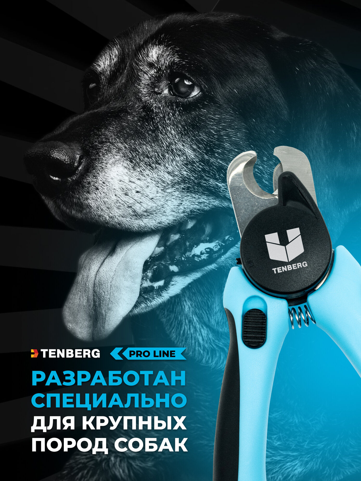 Когтерез-секатор для крупных пород собак с LED-подсветкой Tenberg Mustang Pro Blue — фото 1