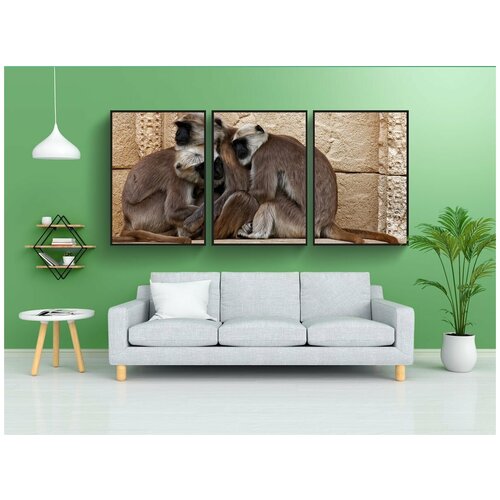 фото Набор модулных постеров для интерьера "приматов, обезьяна, индия" 60x90 см. в тубусе, без рамки lotsprints