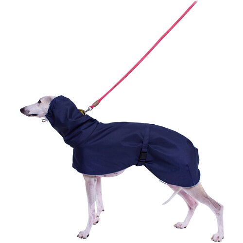 Дождевик для собак породы Левретка, цвет: синий, желтый, размер S3 . Дождевик для бесхвостых собак и с низкоопущенным хвостом дождевик для собак мелких пород