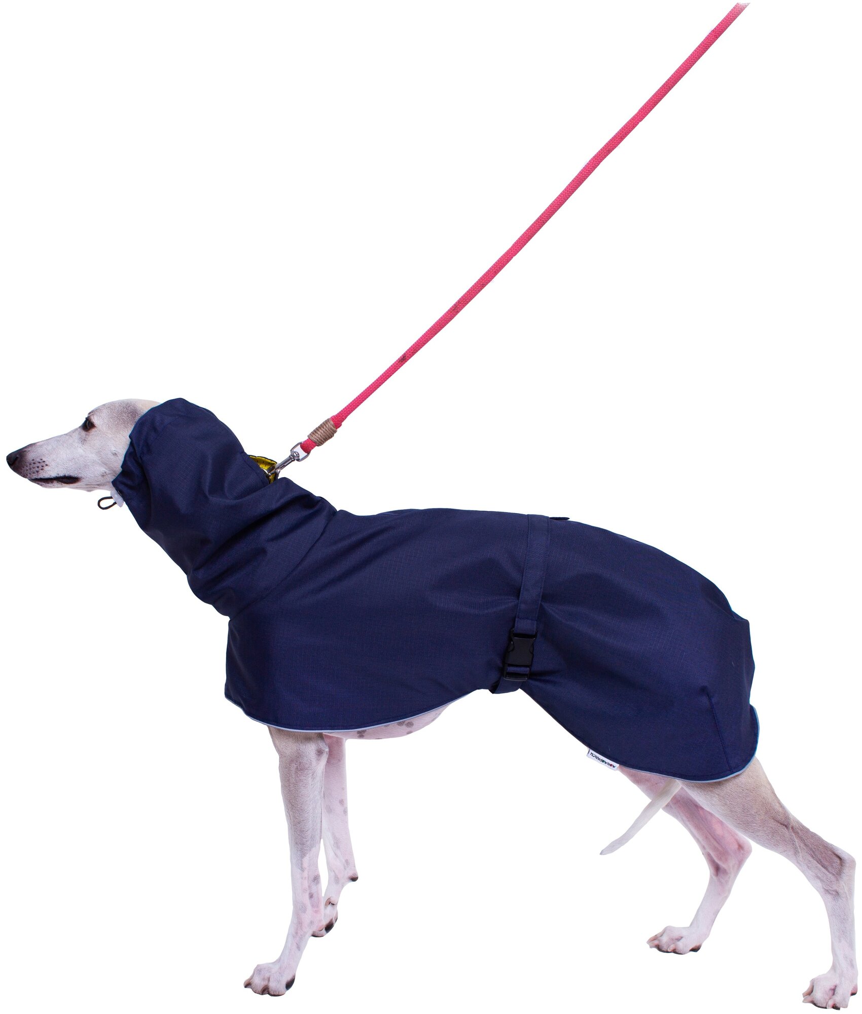 Дождевик для собак породы Уиппетов, синий, желтый, размер М2 .Дождевик для бесхвостых собак и с низкоопущенным хвостом - фотография № 1