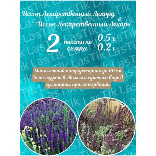 Иссоп лекарственный Аккорд 0,5г и Лекарь 0,2г 2 пакета семян комплект семян иссоп лекарственный аккорд х 3 шт