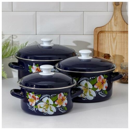 Набор кастрюль «Букет Орхидей», 3 предмета: 2,3 л, 3 л, 4 л