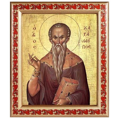 Священномученик Харалампий Магнезийский, икона в рамке с узором 19*22,5 см