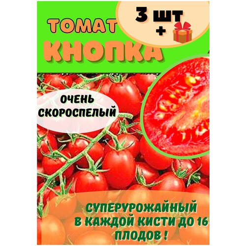 Томат Кнопка скороспелый 3шт (семена) томат кнопка скороспелый 5шт семена