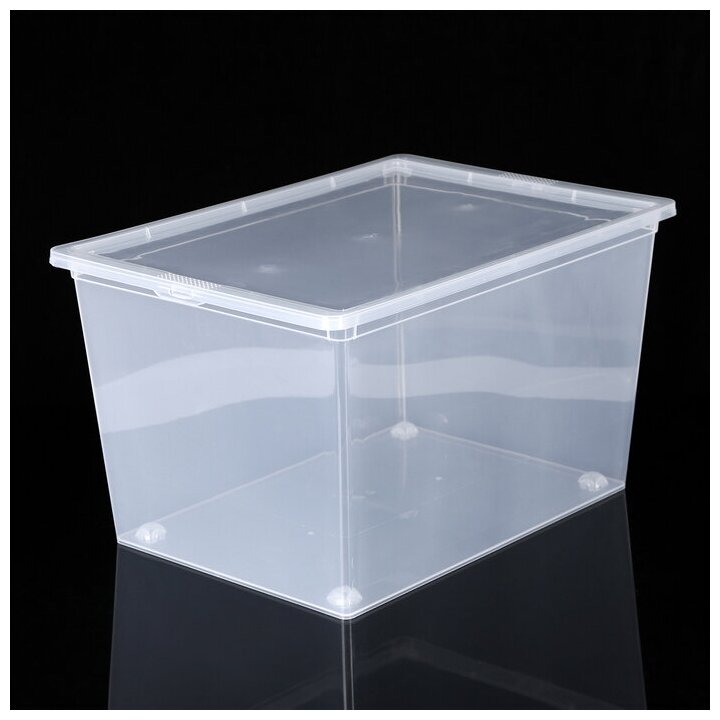 Ящик для хранения с крышкой 50 л 53×38×30 см цвет прозрачный