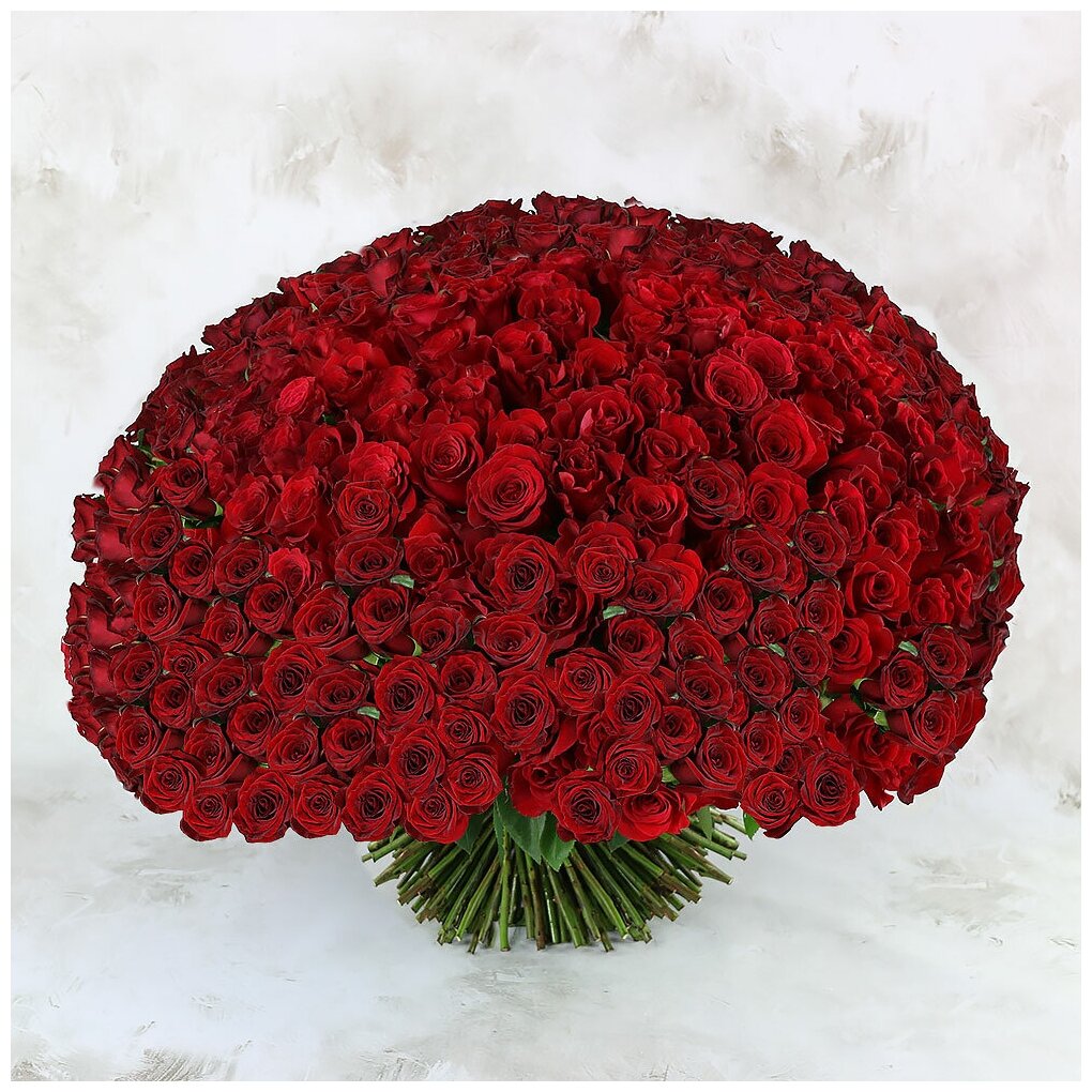 Букет живых цветов из 301 красная роза 60см
