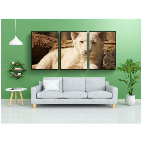 фото Набор модулных постеров для интерьера "детеныш, лев, белый" 60x90 см. в тубусе, без рамки lotsprints