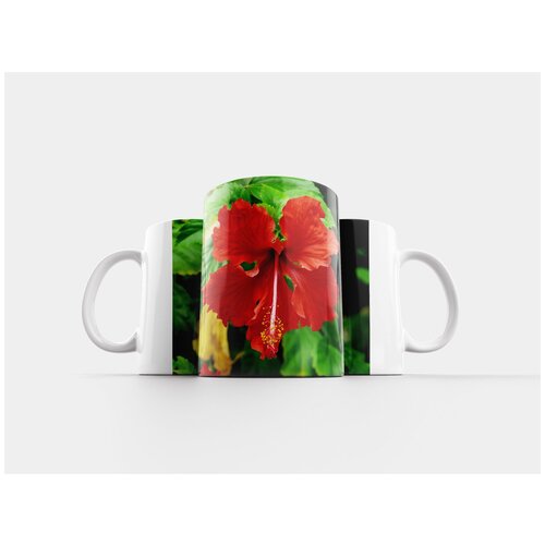 фото Кружка "цветок, гибискус, бали" 320 мл lotsprints