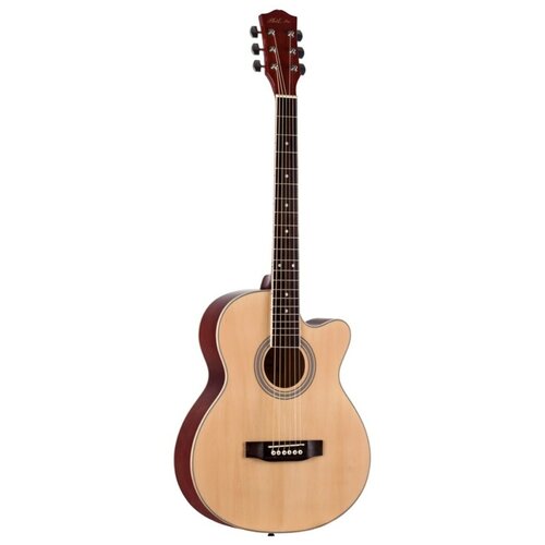 Акустическая гитара фолк PHIL PRO AS - 3904 / N (натуральный)