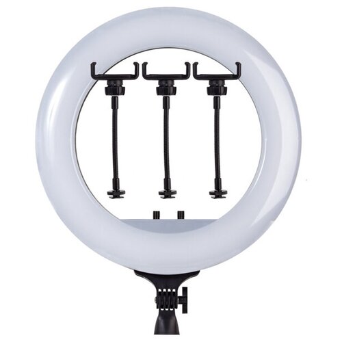 Кольцевая лампа RL-21 с пультом управления 53см 416500₽