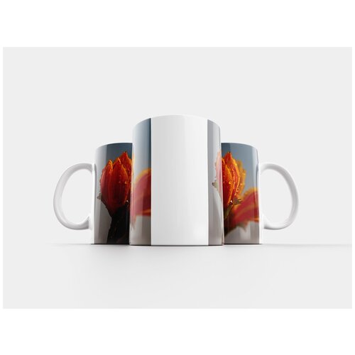 фото Кружка "цвести, бутон, вода" 320 мл lotsprints