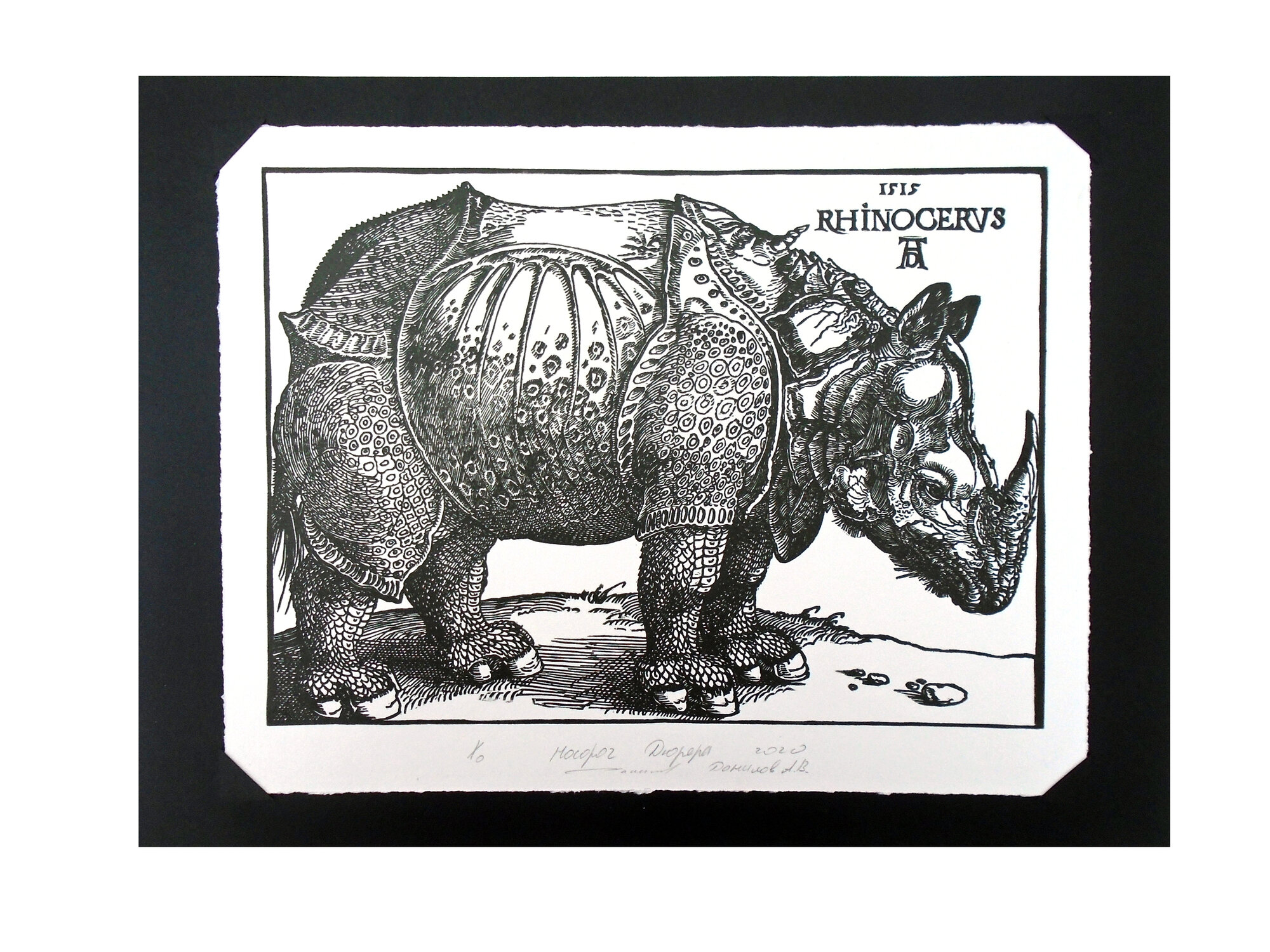 Ксилография - обрезная гравюра "Носорог Дюрера", 21,5х30 см. (копия с оригинального эстампа Альбрехта Дюрера "Носорог")