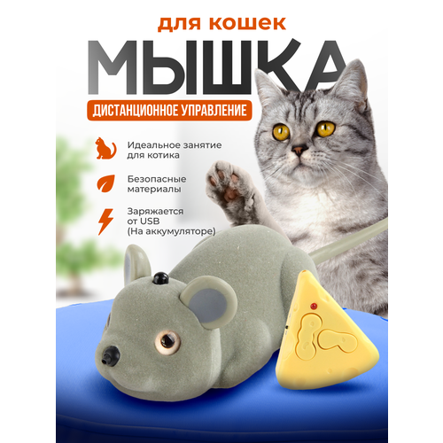 Мышка на пульте для кошек