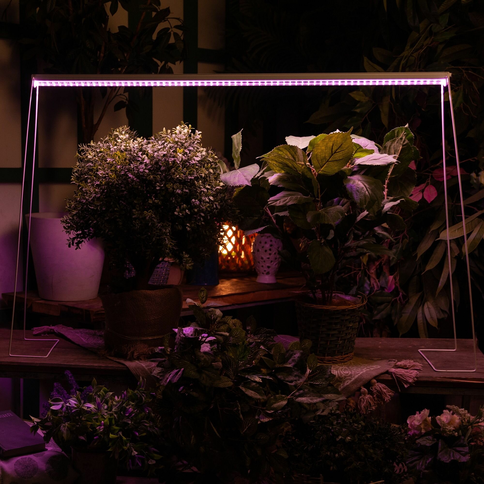 Лампа светодиодная для растений Uniel UL-00007514