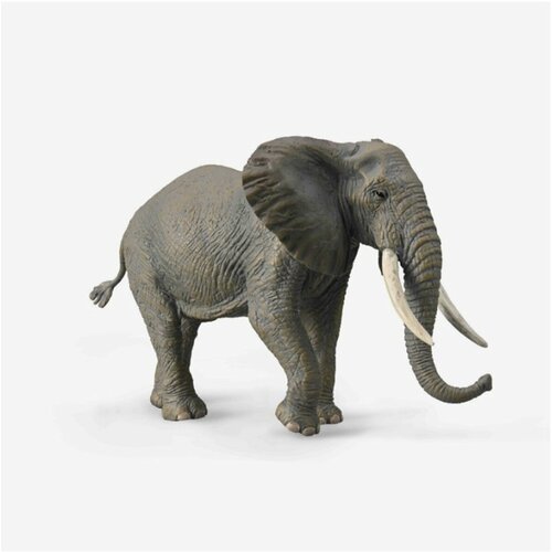 Фигурка Collecta Слон африканский, XL 88966b саванный слон 19 см loxodonta africana фигурка игрушка дикого животного