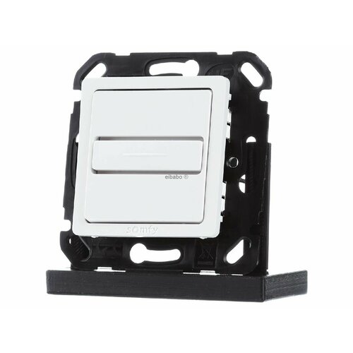 1-полюсный переключатель и нажимной переключатель 1800535 SOMFY 3660849543921 11700₽