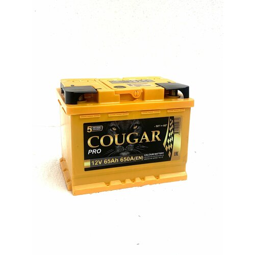 Аккумулятор автомобильный COUGAR PRO 65Ач L+ EN650 242*175*190 B13