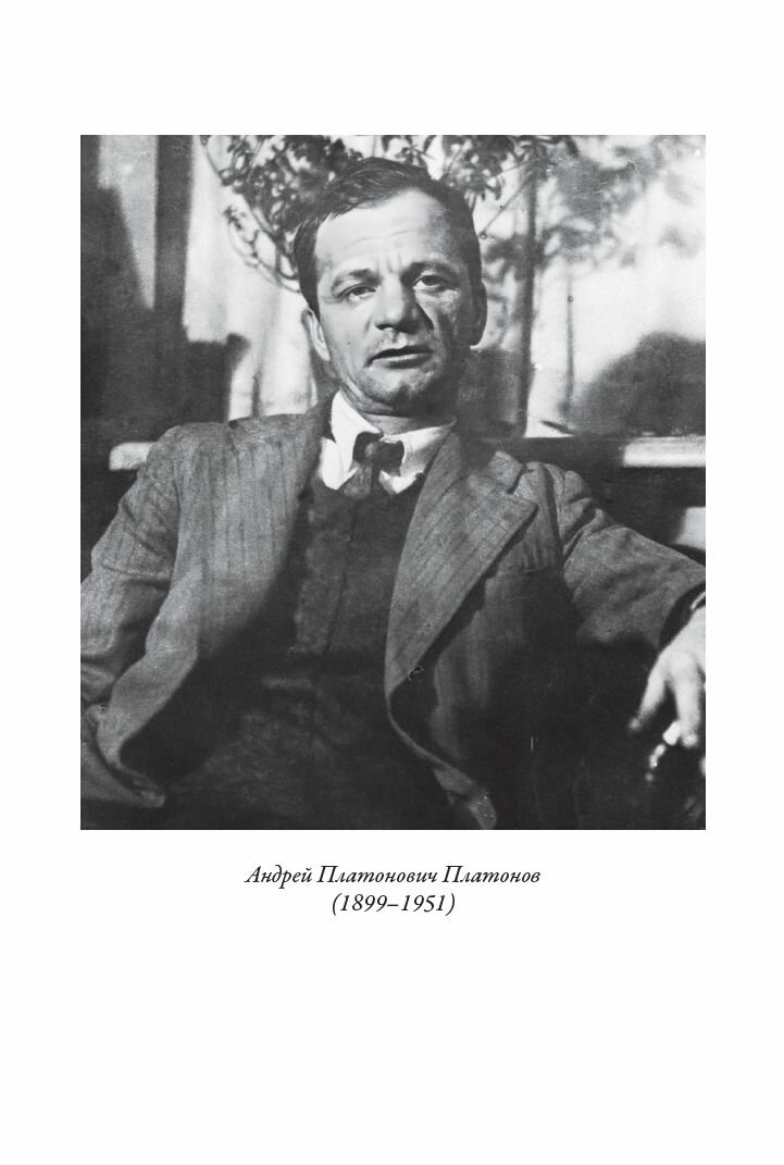 Волшебное кольцо БМЛ. Платонов А. П. Свыше 30 цветных иллюстраций Ушакова И. — фото 1
