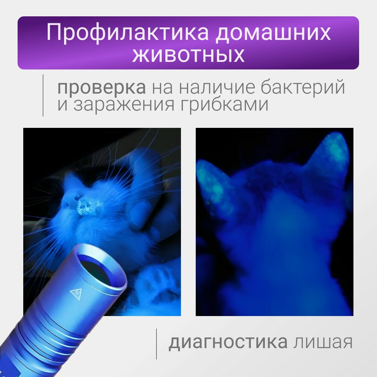 Фонарик ультрафиолетовый c аккумулятором 14500. Для обнаружения протечек, пятен, бактерий, проверка купюр, для рыбалки — фото 1