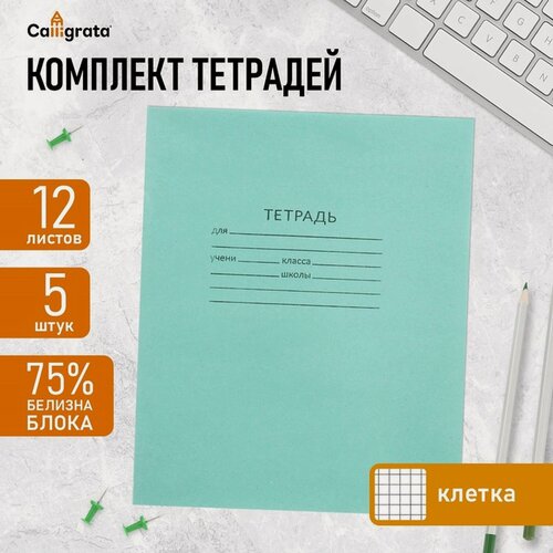 Изображение товара Комплект тетрадей из 5 штук, 12 листов в клетку КПК "Зелёная обложка", блок №2, белизна 75% (серые листы)