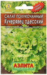 Салат Кучерявец Одесский полукочанный 0,5г Ср (Гавриш) ХИТ х3