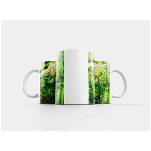 фото Кружка "черная бузина тля, пухоеды и вши, тля" 320 мл lotsprints