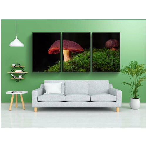 фото Набор модулных постеров для интерьера "ведьма боле, грибы, лесной гриб" 60x90 см. в тубусе, без рамки lotsprints