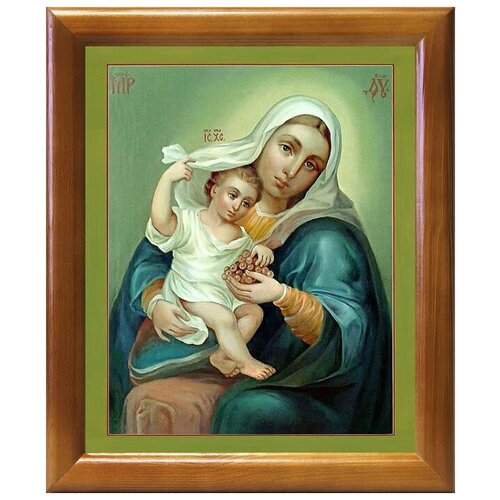 Икона Божией Матери Покрывающая Домодедовская, в рамке 17,5*20,5 см