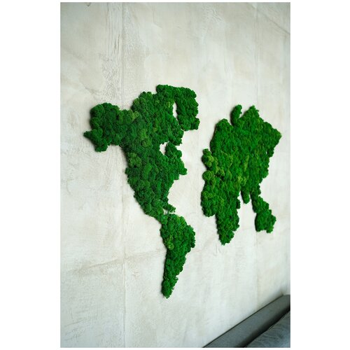 Карта мира деревянная со стабилизированным мхом/1600*950/Декорация на стену/1600*950/iz lesa