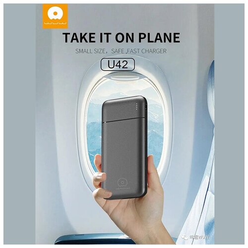 Внешний аккумулятор WUW-U42 10000mAh 2USB черный 125000₽
