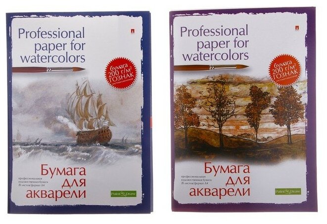 Бумага для акварели А4, 20 листов "Профессиональная серия", блок 200 г/м2, микс