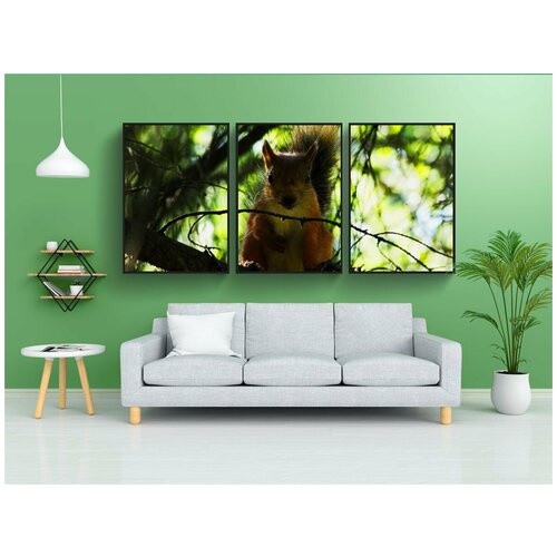 фото Набор модулных постеров для интерьера "белка, грызун, рыжая" 60x90 см. в тубусе, без рамки lotsprints