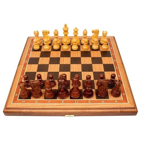шахматы стаунтон презент дуб 45х45 см Шахматы деревянные Эндшпиль с утяжеленными фигурами на доске из дуба 45 на 45 см