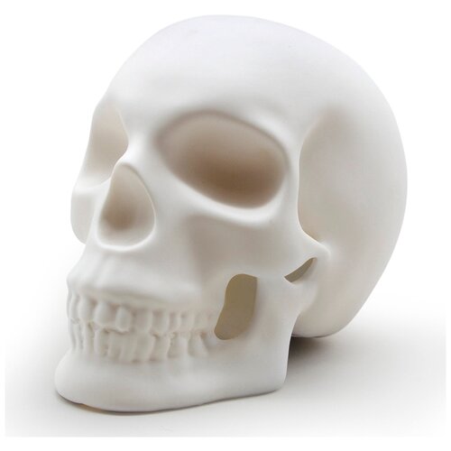 Товары для дома Suck UK SK LIGHTSKULL1