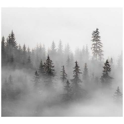 N00803 Фотообои Флизелиновые с виниловым покрытием 3Д 