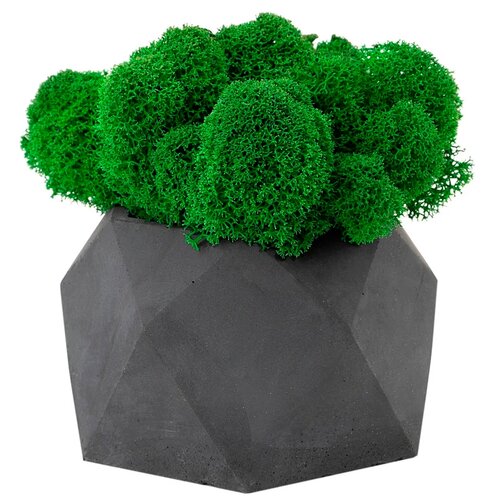 Кашпо бетонное со мхом (бета-маренго мох зеленый)