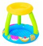 Детский бассейн Bestway Fruit Canopy Play Pool 52331