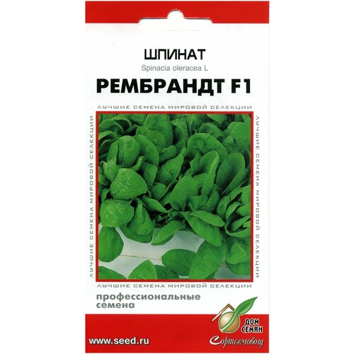 Шпинат Рембрандт F1, 50 семян шпинат рембрандт f1 1 г семян vita green