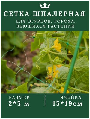 Подготовка поверхности перед установкой