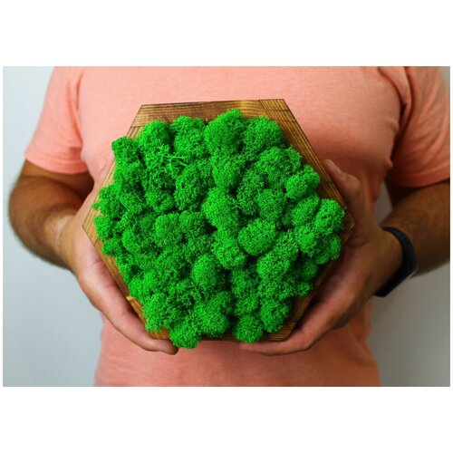 Эко-картина в форме соты (диаметр 20 см), коричневый/зелёное яблоко