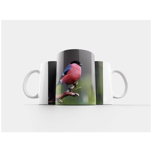 фото Кружка "зяблик, птица, бык" 320 мл lotsprints