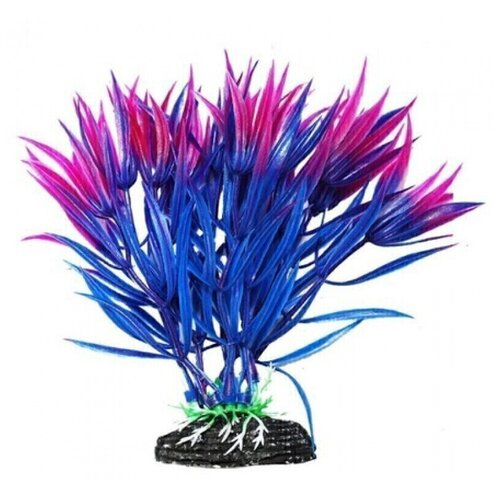 Растение для аквариума Уют Гетерантера сине-фиолетовая, 11 см, 55 гр