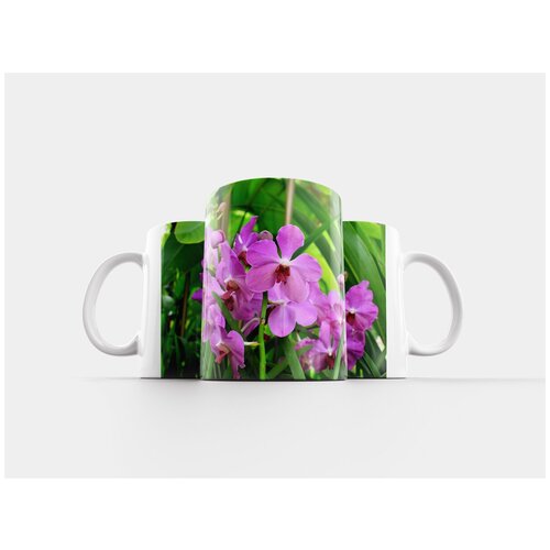 фото Кружка "орхидея, цветок, цвести" 320 мл lotsprints