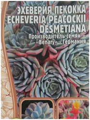 Семена Эхеверии Пекокка (Echeveria Peacockii desmetiana) (5 семян)