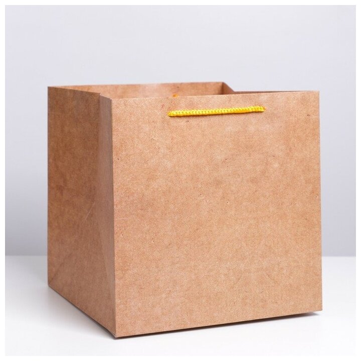 Пакет квадратный «Крафт», 30 × 30 × 30 см