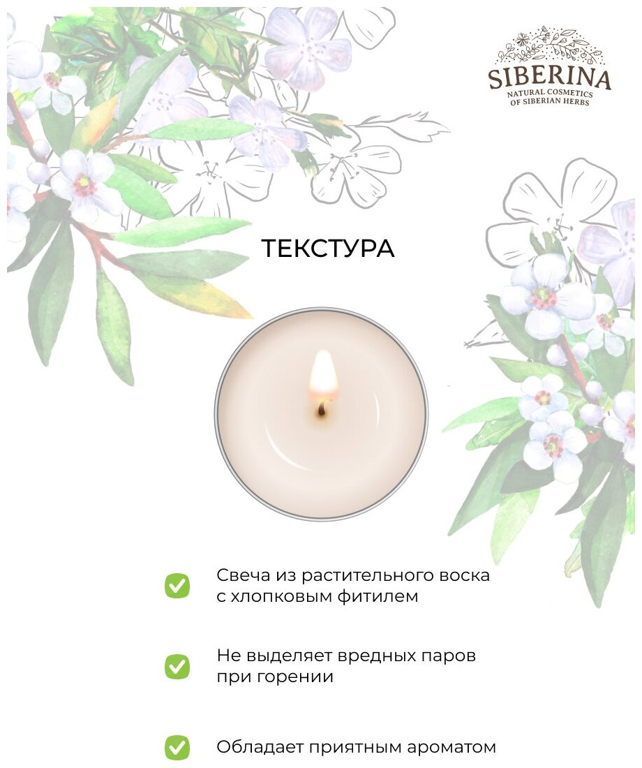 Карта комаров и мошек